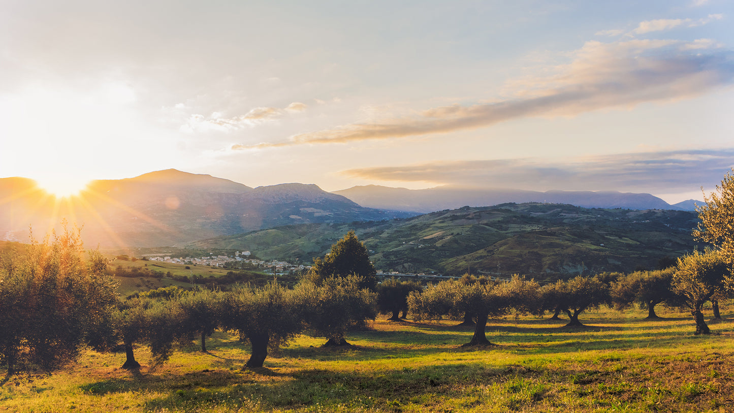 Tutto Sicilia