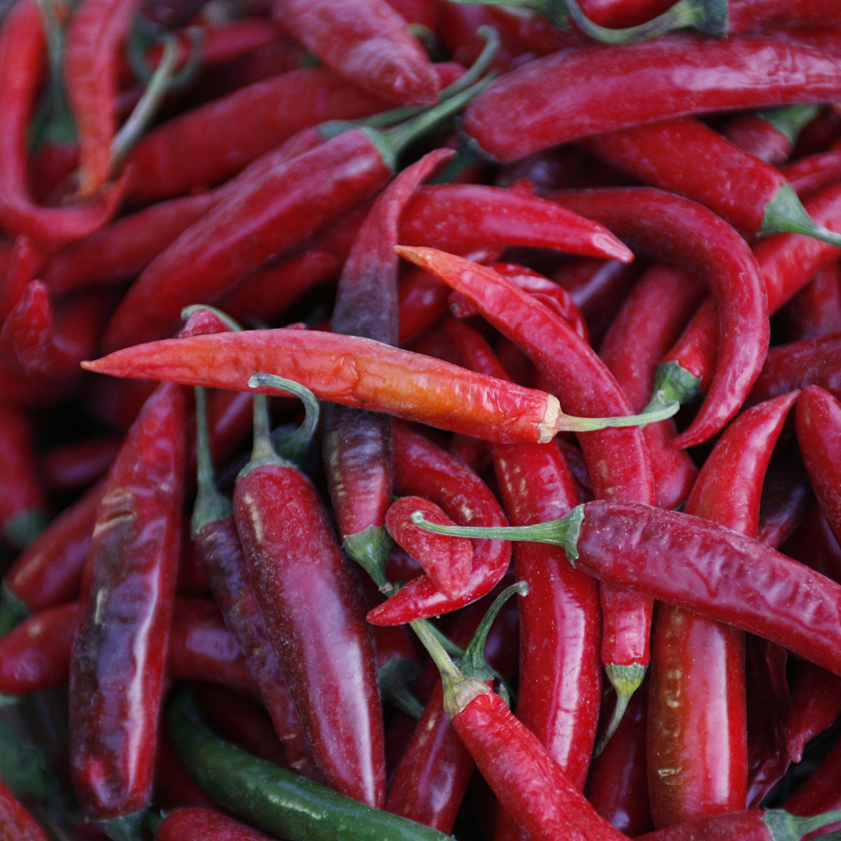 Hot Pepper Cream