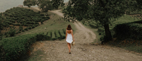 From the Same Hillside — Where Tutto Sicilia's Citrus Comes From