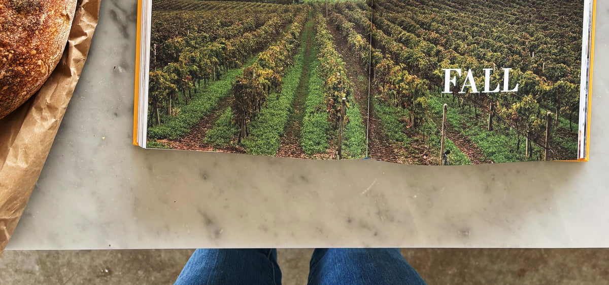 Coming Home to Sicily cookbook open to the Fall section, showing a two-page photo of Sicilian vineyards and hillside farmland