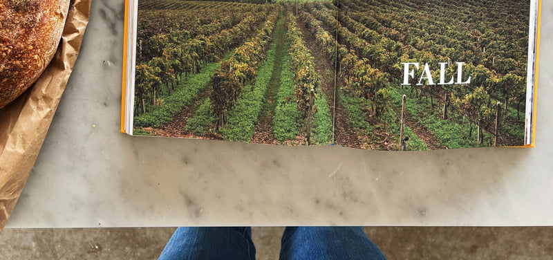 Coming Home to Sicily cookbook open to the Fall section, showing a two-page photo of Sicilian vineyards and hillside farmland