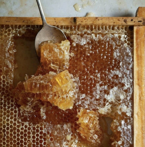 Orange Blossom Honey