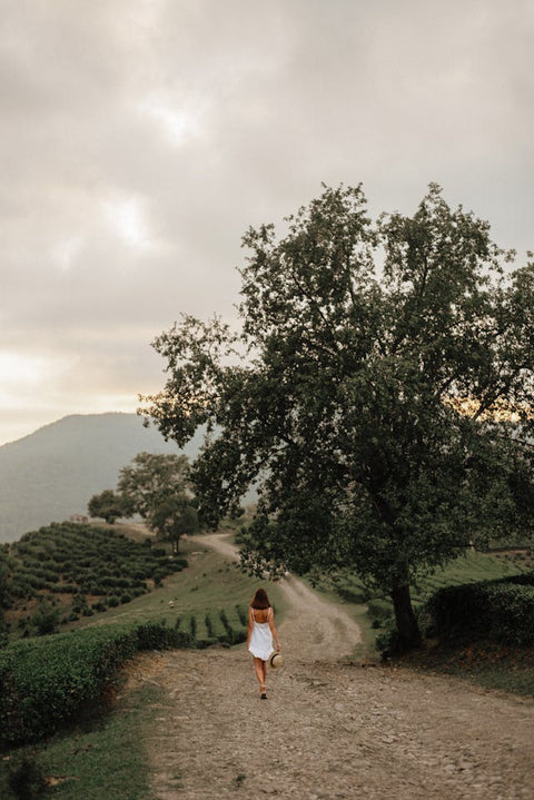 From the Same Hillside
