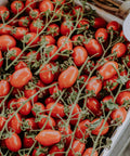 San Marzano tomatoes of the fine to be drying in the August Sicilian sun — Tutto Sicilia