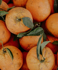 Sicilian oranges being gathered for marmalade, no pectin — Tutto Sicilia