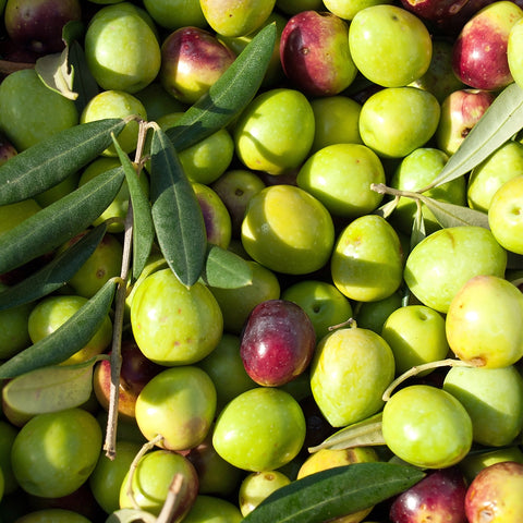 Extra Virgin Olive Oil